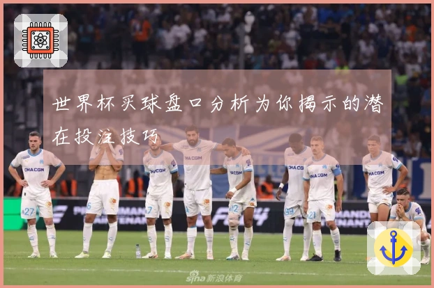 世界杯买球盘口分析为你揭示的潜在投注技巧