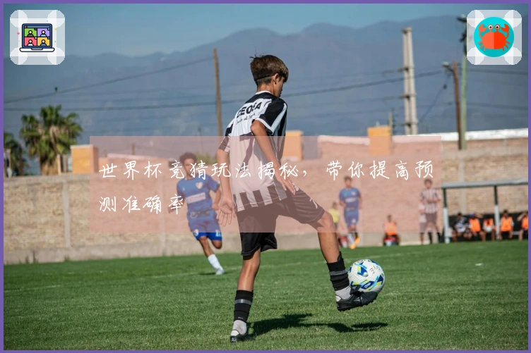 世界杯竞猜玩法揭秘，带你提高预测准确率