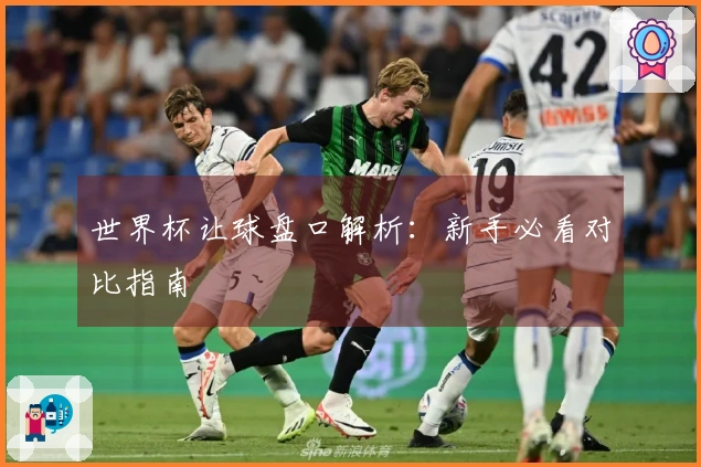 世界杯让球盘口解析：新手必看对比指南