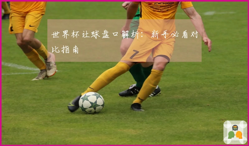 世界杯让球盘口解析：新手必看对比指南